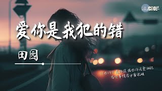 田园 - 爱你是我犯的错「没有值不值得」【🎧AI高质音乐/拼音动态歌词 Lyrics】CoolSong酷歌