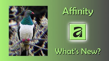 Affinity by Canva - The Adobe Killer?
