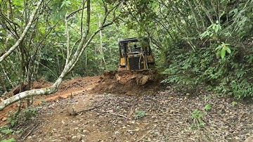 The Importance of Servicing the D6R XL Bulldozer in Repairing Old Plantation Roads