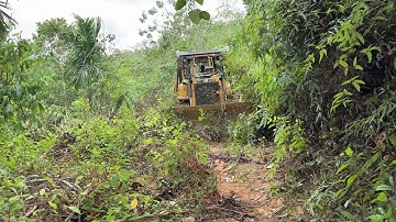The Importance of Servicing the D6R XL Bulldozer in Repairing Old Plantation Roads