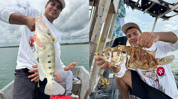 Great fishing and cooking of huge whites using baitfish