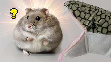 "Slang" probeert een hamster op te eten, maar heeft er meteen spijt van
