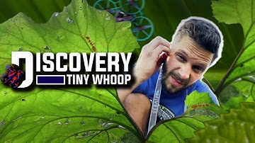 FPV TinyWhoop Goes WILD in a Hilarious Animal Documentary Parody?