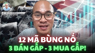 Top 12 Cổ Phiếu Bùng Nổ 2025! 3 Mã Nên BÁN NGAY – 3 Mã Phải GOM GẤP!