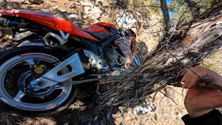 Most Insane & Crazy Motorcycle Crashes