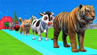 Paint & Animals Cow,Gorilla,Elephant,Lion,Tiger,Dinosaur, Fountain Crossing Transformation Cartoon