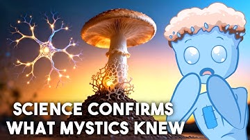 Creation and Evolution Are So Much More Than You Think