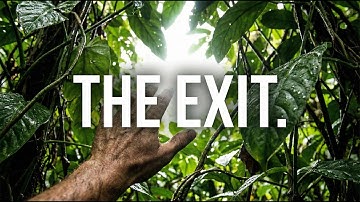 Escape the AI Jungle: Your 2026 Roadmap