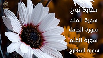 سورة الملك سورة المعارج سورة نوح سورة القلم سورة الحاقة ــأجمل تلاوة مؤثرة تريح القلب والروح