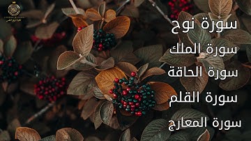 سورة الملك سورة المعارج سورة نوح سورة القلم سورة الحاقة ــأجمل تلاوة مؤثرة تريح القلب والروح