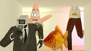 Cat Pants ate him !? 😱🔥