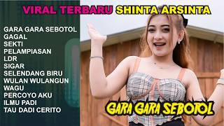 SHINTA ARSINTA FULL ALBUM TERBARU 2024 - DANGDUT KOPLO TERBARU 2024 TANPA IKLAN- GARA GARA SEBOTOL