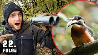 Ein VOGEL klaut meine FISCHE! | Tag 22/100 autark