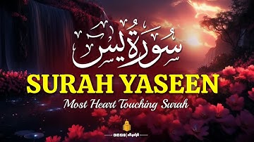 Surah Yaseen (Yasin) سورة يس with Urdu translation | Mishary Rashid Alafasy | 4K Quran