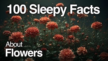 The Most Relaxing Facts About Flowers to Fall Asleep To