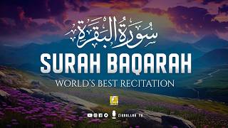 Surah AL BAQARAH Full (سورة البقره) THIS ULTIMATE VOICE WILL TOUCH YOUR HEART | Zikrullah TV