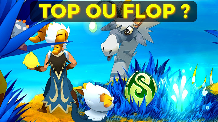 DOFUS 3.2: RÉUSSITE ou ÉCHEC ?