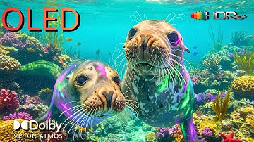 When 8K HDR Becomes Too Real | Dolby Vision Ultra HD Demo 2025