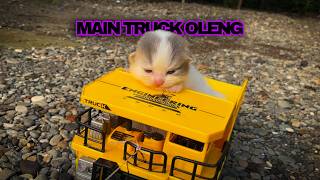 ANAK KUCING LUCU MAIN TRUCK OLENG