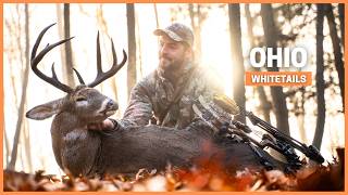 Discovering Why Whitetail Hunting Is So Addictive in Ohio.