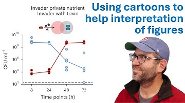 Does including a graphic improve the interpretability of complex datasets? (CC388)
