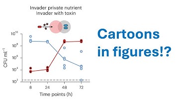 Does including a graphic improve the interpretability of complex datasets? (CC388)