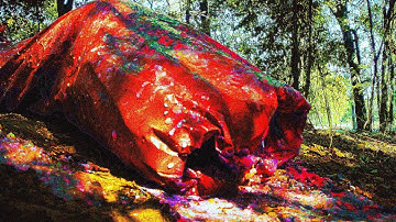 Cerebral Discharge - Compulsive Vagabond (Official Video)