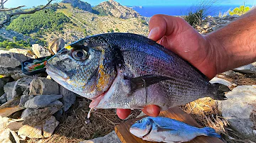 Delicious FRESH FISH Cooked in Nature (You’ve NEVER Seen This Before!) | ASMR Relaxing Cooking