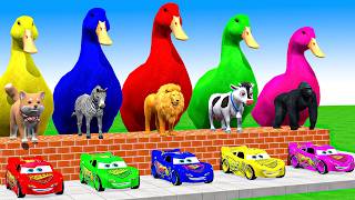 5 Giant Duck Cartoon, Cow, Mammoth, Elephant, Lion, Paint Wild Animals Crossing Fountain Animation