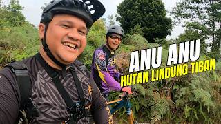 Gowes sepeda mtb di hutan lindung Tiban