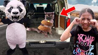 SEDIH BANGET KUCING KESAYANGAN ALUNA DAN AMANDA HILANG DI CURI!! 