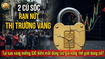 Khi Vàng Miếng SJC Bốc Hơi | CME & Điểm Yếu Của Tài Chính Hiện Đại | CỔ NHÂN HỌC