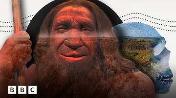 Neanderthal 1: The discovery that rewrote history | BBC Global