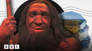 Neanderthal 1: The discovery that rewrote history | BBC Global