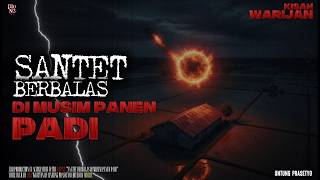 Santet Berbalas di Musim Panen Padi || Kisah Warijan
