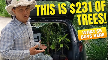 I Planted a Food Forest Trail on My 3-Acre Tropical Farm for $231