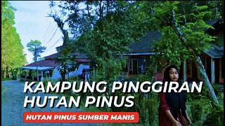 KAMPUNG PINGGIRAN HUTAN PINUS SUMBER MANIS I KEHIDUPAN PEDESAAN MASUK DALAM KAWASAN PERHUTANI