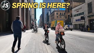 Spring has sprung early! | Downtown Toronto Walk (March 2025)