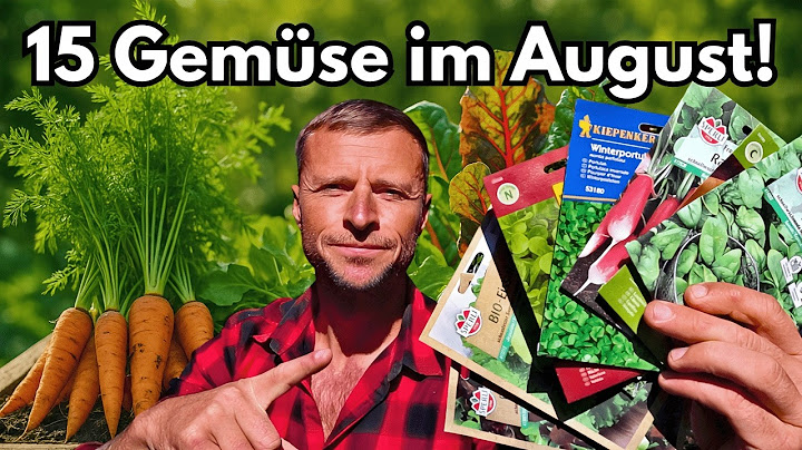 🌱 Sow in August – 15 vegetables for a bountiful fall and winter harvest! 🍂❄️