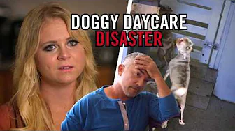 This Dog is Getting Kicked Out of Doggy Daycare!