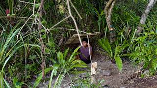 Building an Abandoned Shelter | Safe Camping in the Woods (ASMR)