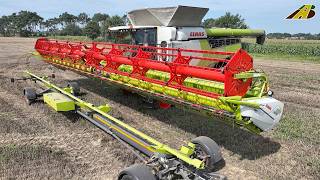 Wheat harvest 2025, new Claas Lexion 8800 combine harvester 45 feet header & tractors, agriculture