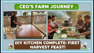 CEO Leaves City Life Behind: Finishing a Cozy Farm Kitchen & Hosting First Meal for Helpers