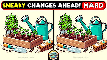 🐢🧩 Find The Difference | The Ultimate Puzzle Hunt 🧩🐢 | Quizonaut Turtle