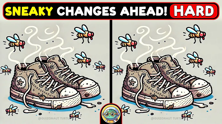 🐢🧩 Find The Difference | The Ultimate Puzzle Hunt 🧩🐢 | Quizonaut Turtle