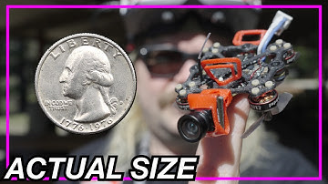 This IS the WORLDS SMALLEST DRONE