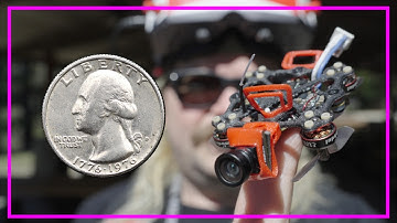 This IS the WORLDS SMALLEST DRONE