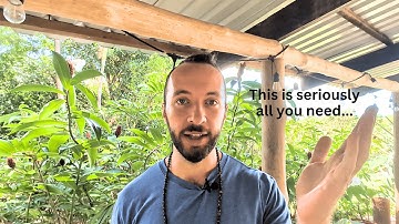 Deze 4 minuten zullen veranderen wat zich in je leven manifesteert