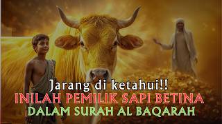 KISAH DALAM SURAH AL BAQARAH - SAPI BETINA MENGUNGKAP PEMBUNUHAN PALING SADIS DI MASA NABI MUSA