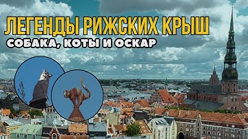 Собака, коты и Оскар. История легендарных фигур на крышах Риги